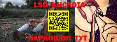 spice Донецк