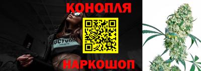 прущие грибы Балашиха