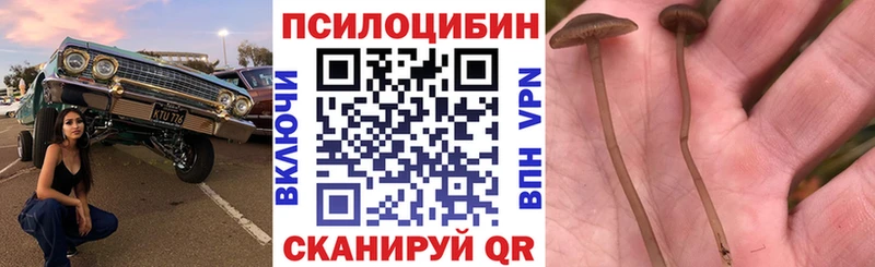 Галлюциногенные грибы Cubensis mega как зайти Копейск