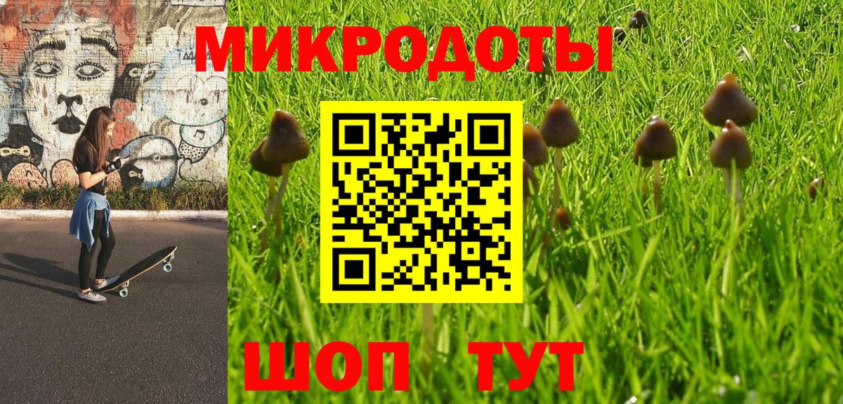 Копейск  Галлюциногенные грибы мухоморы  где продают   Вход с VPN 