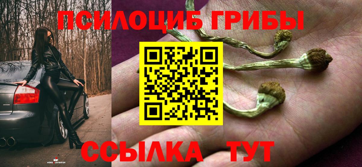 Галлюциногенные грибы мухоморы Копейск